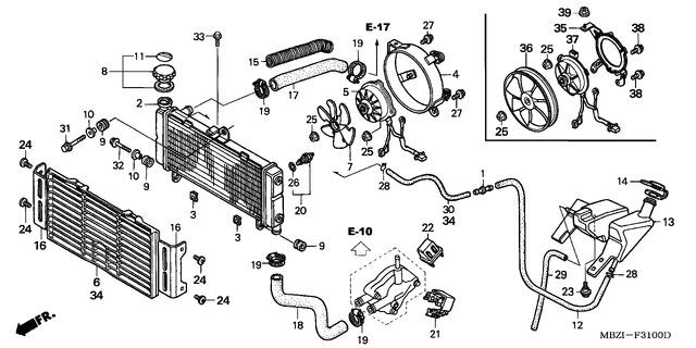 Image for Category F-31