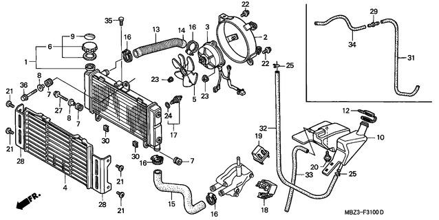 Image for Category F-31