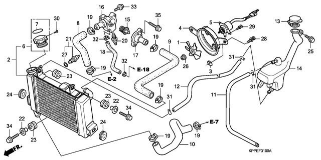 Image for Category F-31