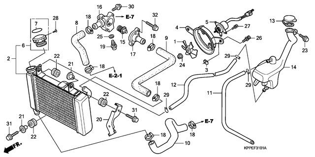 Image for Category F-31-01