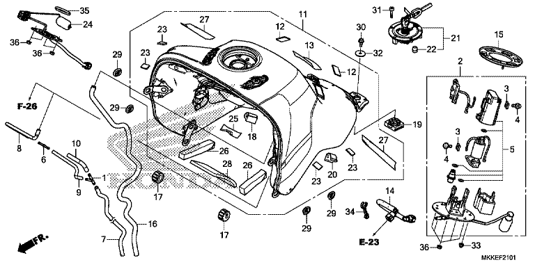 Image for Category F-21-1