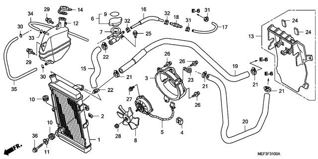 Image for Category F-31