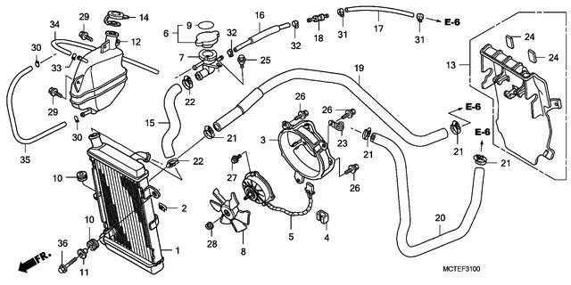 Image for Category F-31
