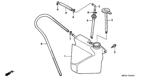 Image for Category F-36