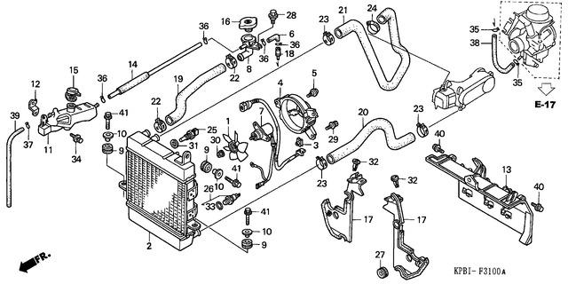 Image for Category F-31