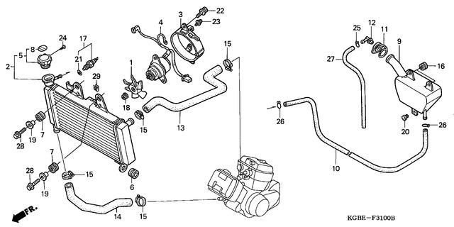 Image for Category F-31