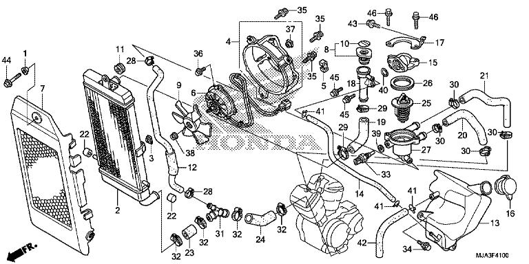 Image for Category F-41